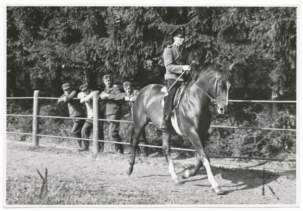 Trakehnen, Pferd mit Reiter