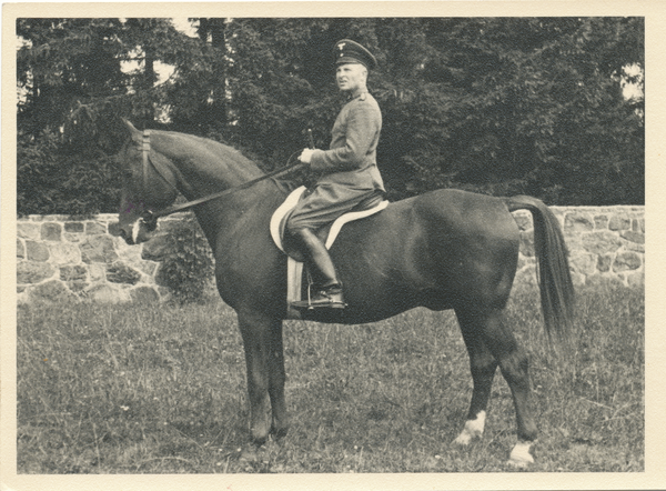 Trakehnen, Pferd mit Reiter