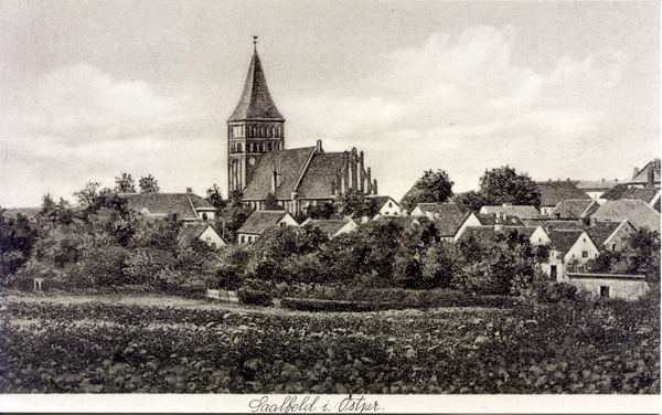 Saalfeld, Ortsansicht mit Kirche