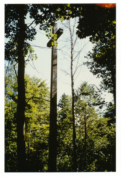 Waplitz Kr. Osterode, Ort (Waplewo, Powiat Olsztyński), Ehrenfriedhof, Holzkreuz
