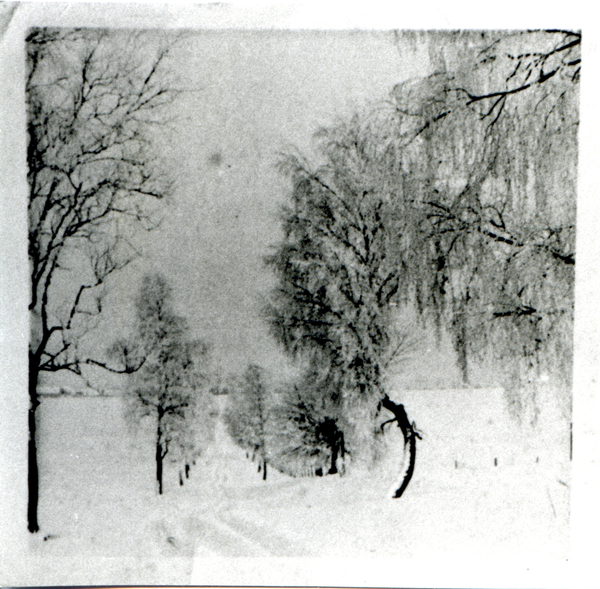 Fuchsberg Kr. Samland, Gem. Fuchsberg, der " Quälberg" im Winter