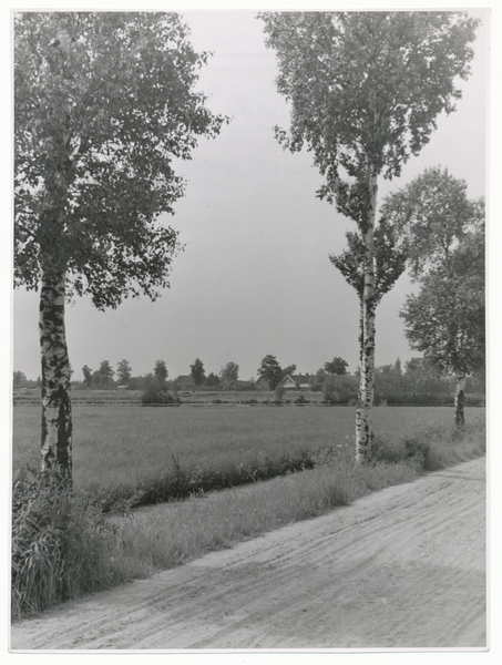 Wilhelmsrode, Birkenweg am Timberkanal