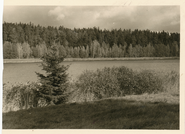 Widminnen, Partie am See