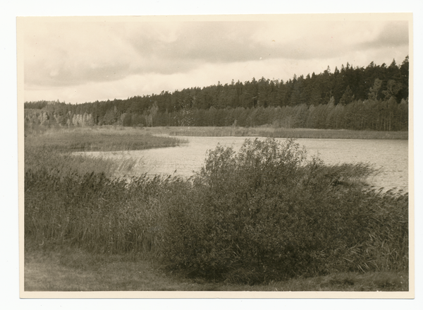 Widminnen, Partie am See