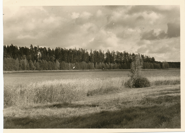 Widminnen, Partie am See