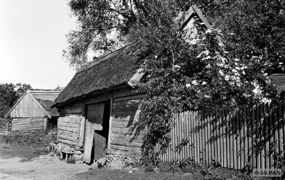 Groß Rosinsko Kr. Johannisburg, Groß Rosinsko, Hölzernes Bauerngehöft - Ansicht von der Wegseite