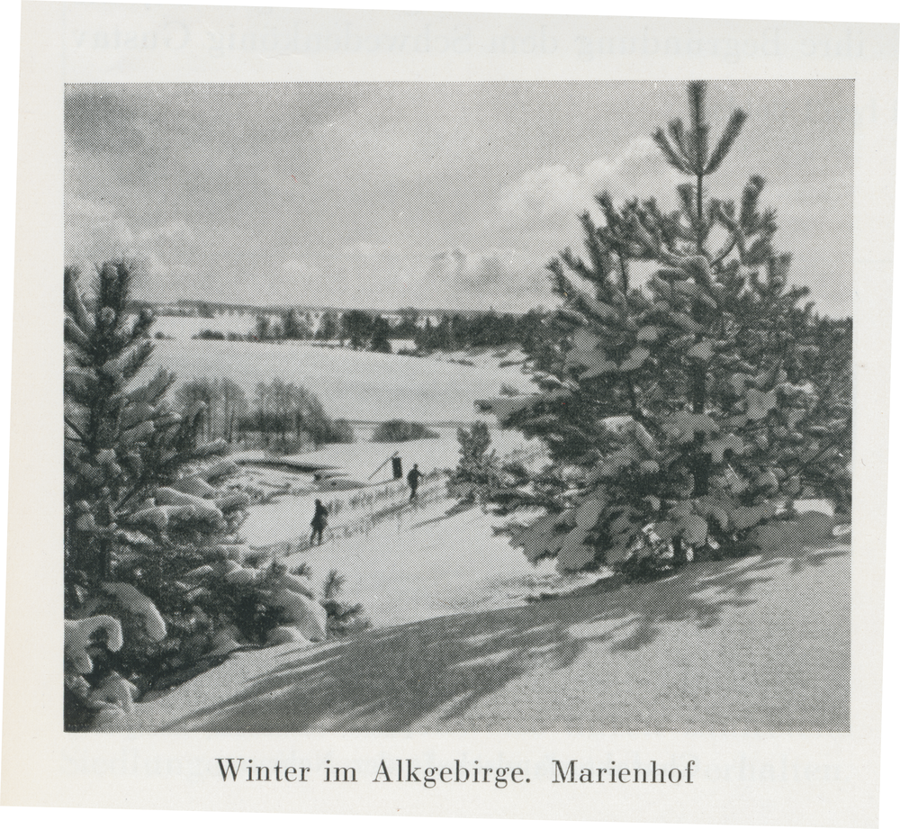 Marienhof Kr. Samland, Gem. Marienhof, Winter im Alkgebirge