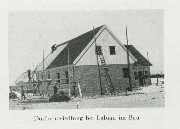 Labiau, Dorfrandsiedlung im Bau