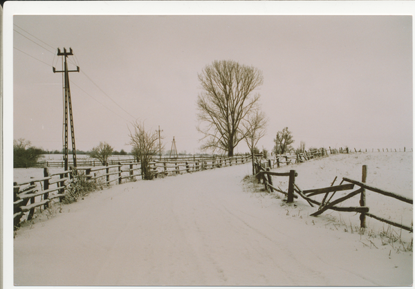 Siewen (Żywy), Weg nach Neu Freudenthal