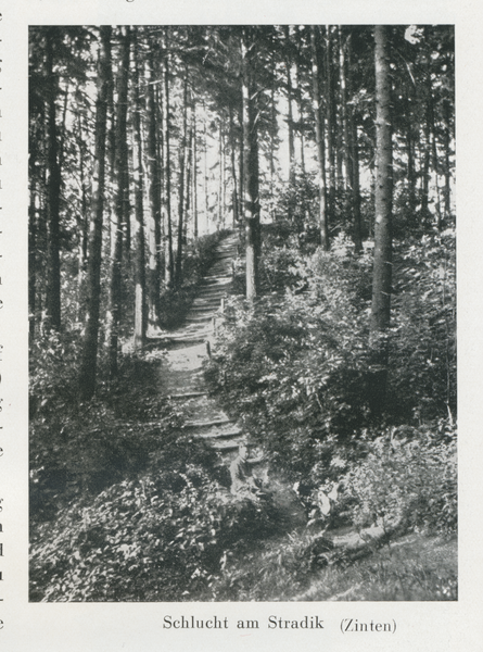 Zinten, Schlucht am Stradik