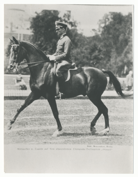 Groß Trakehnen, Trakehner "Gimpel" in der Dressur unter Rittmeister von Oppeln-Bronikowski