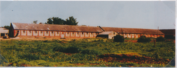 Groß Trakehnen (Ясная Поляна), Auktionsstall, Rückseite