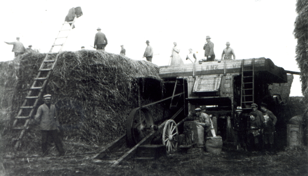 Sudnicken, Gut des Barons von Hausen-Aubier. Das Korn wird mit der Dreschmaschiene gedroschen.