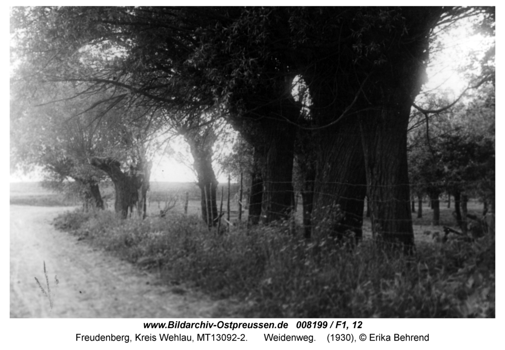 Freudenberg, Weidenweg