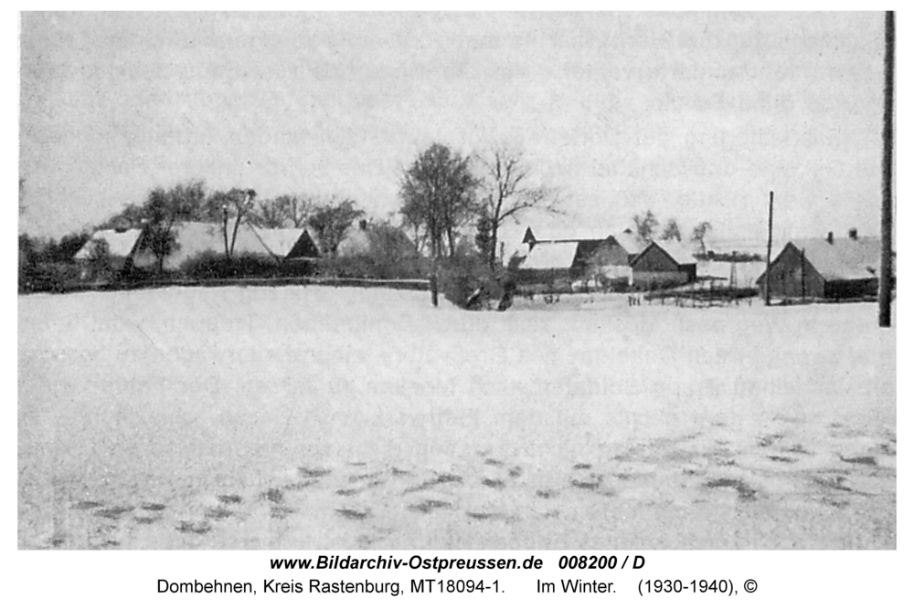 Dombehmen, im Winter