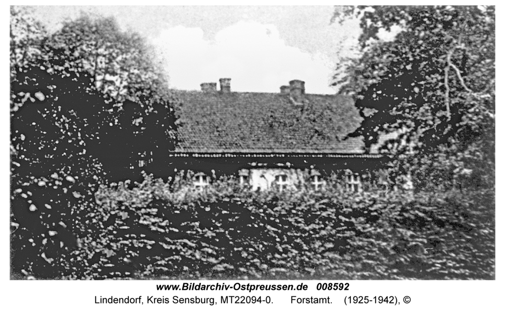 Lindendorf, Forstamt