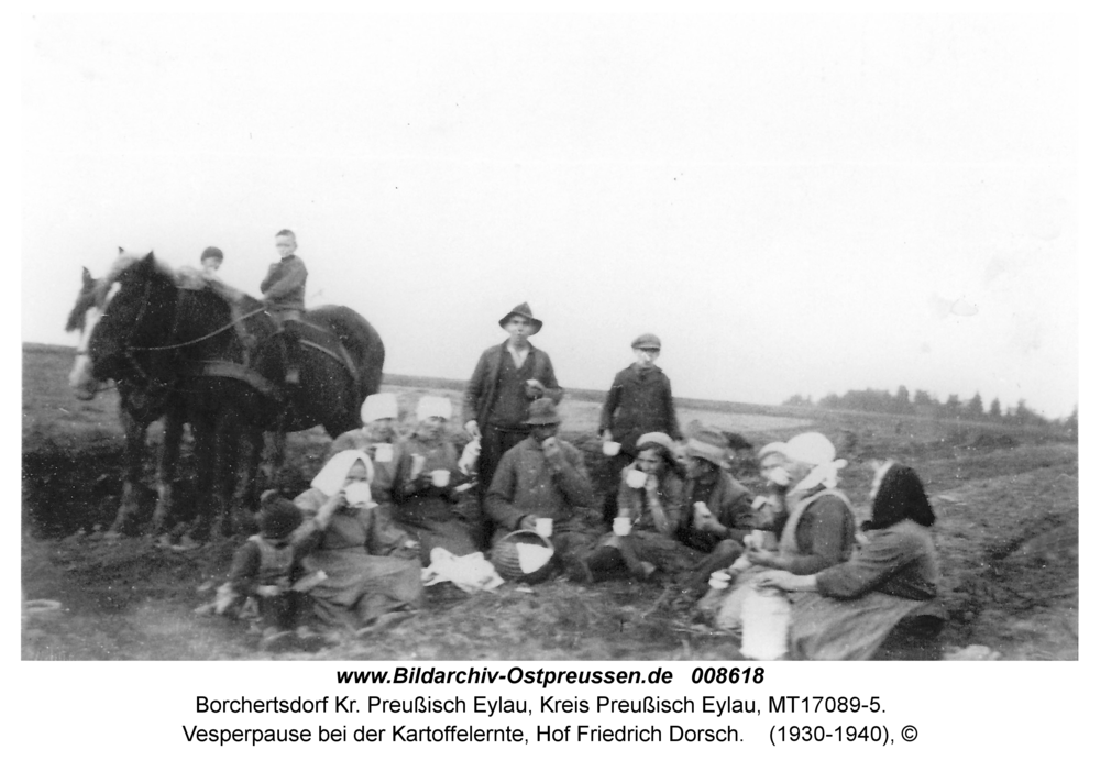 Borchertsdorf, Vesperpause bei der Kartoffelernte, Hof Friedrich Dorsch