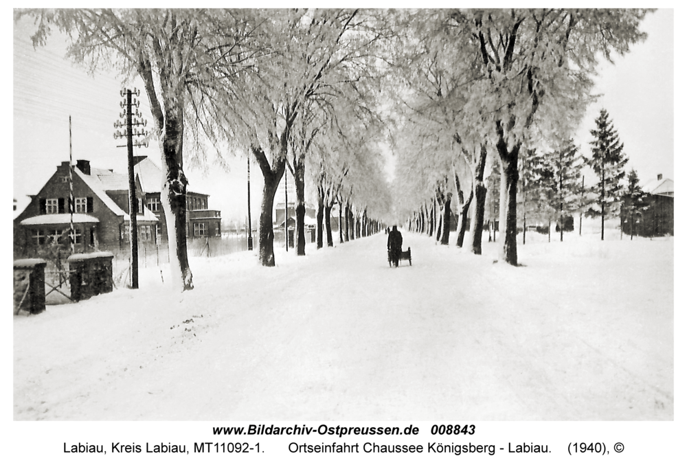 Labiau, Ortseinfahrt Chaussee Königsberg - Labiau