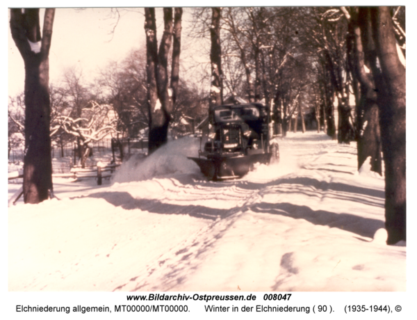 Winter in der Elchniederung ( 90 )