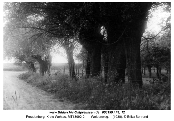 Freudenberg, Weidenweg