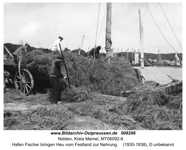 Nidden, Hafen Fischer bringen Heu vom Festland zur Nehrung