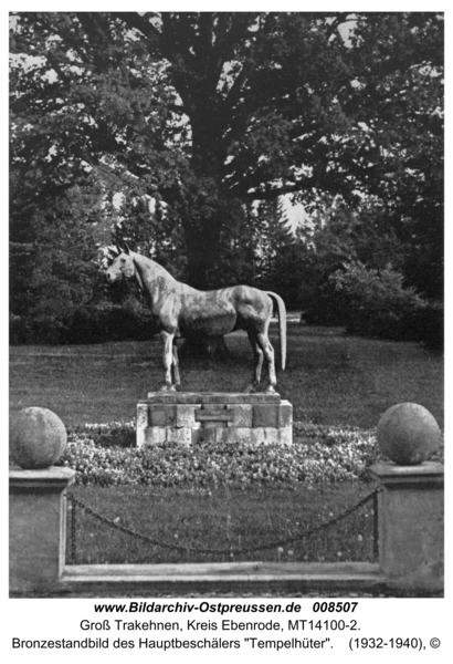 Groß Trakehnen, Bronzestandbild des Hauptbeschälers "Tempelhüter"