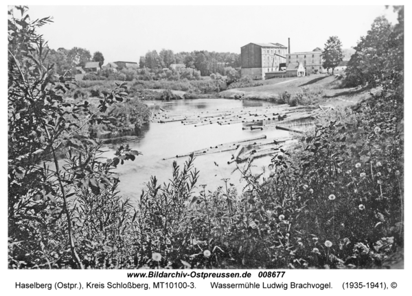 Haselberg, Wassermühle Ludwig Brachvogel