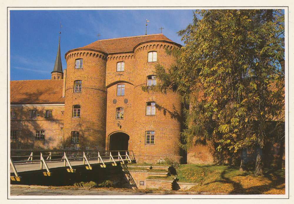 Frauenburg (Frombork), Portal zum Domhof, Südtor