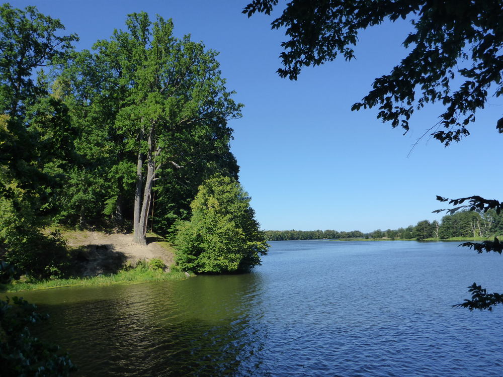 Mertensdorf (Тёмкино), Stausee