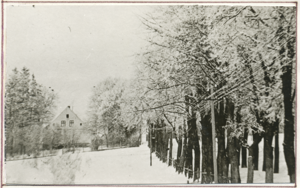 Marienhöhe Kr. Gumbinnen, Gutshaus mit Lindenallee