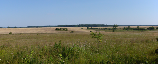 Kaydann (Бычково), Blick in Richtung Friedenberg