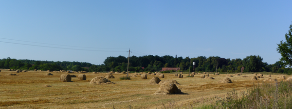 Heyde (Костюковка), Ortsansicht mit dem Park des ehem. Gutes auf dem Hintergrund.