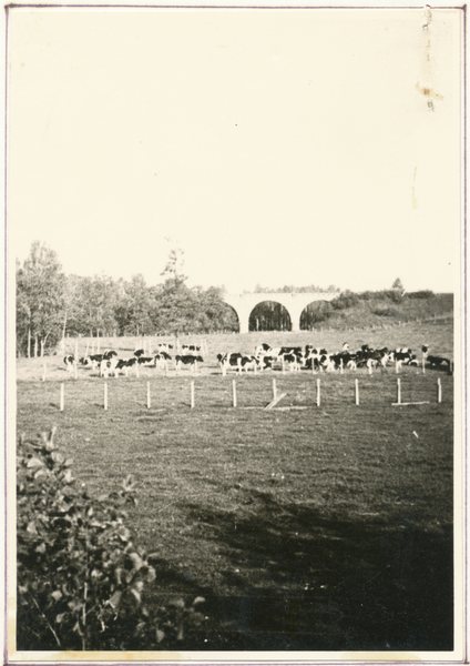 Samelucken Kr. Gumbinnen, Eisenbahnbrücke über die Rominte