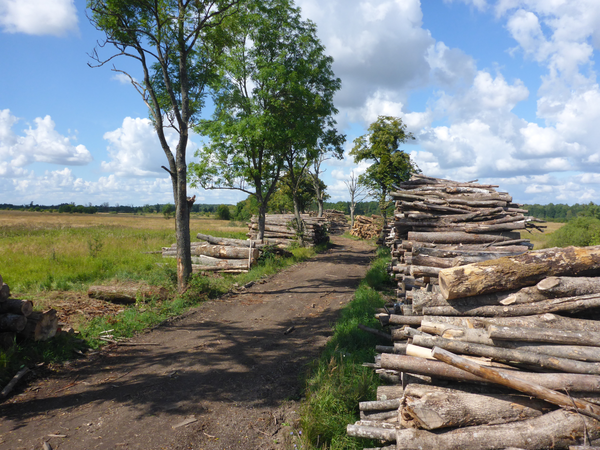 Groß Allendorf, Straße nach Allenburg