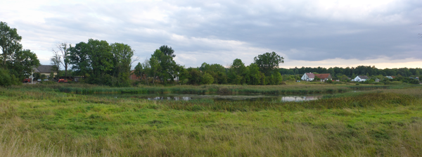 Hohenfelde (Луговое), Ortsansicht mit dem Teich