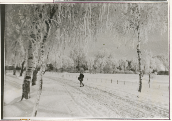 Grünweiden Kr. Gumbinnen, Weg von Jägershagen im Winter