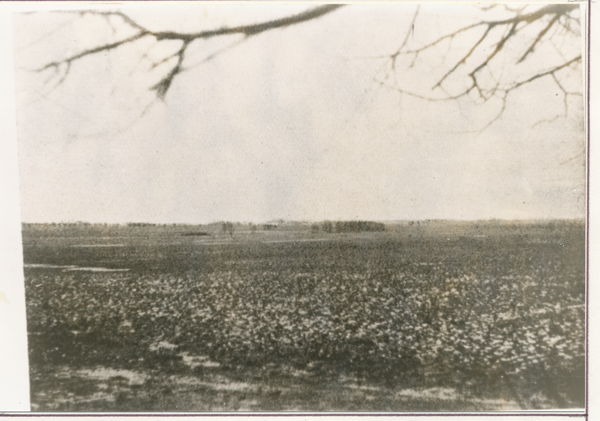 Grünweitschen, Landschaft zwischen Grünweiden und Mattischkehmen