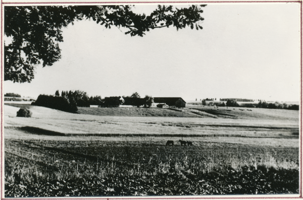 Matzukehmen, Bauernhof Ernst Schlaugat