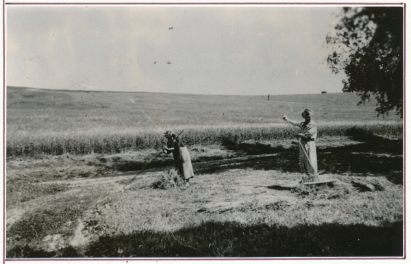 Matzhausen, Feld von Wilhelm Schlaugat, Wenden von Heu