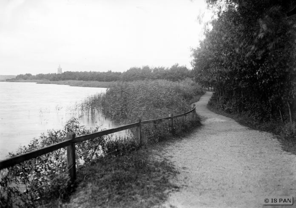 Osterode, Allee im Collispark, im Hintergrund der Bismarckturm