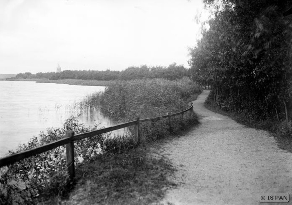 Osterode, Allee im Collispark, im Hintergrund der Bismarckturm