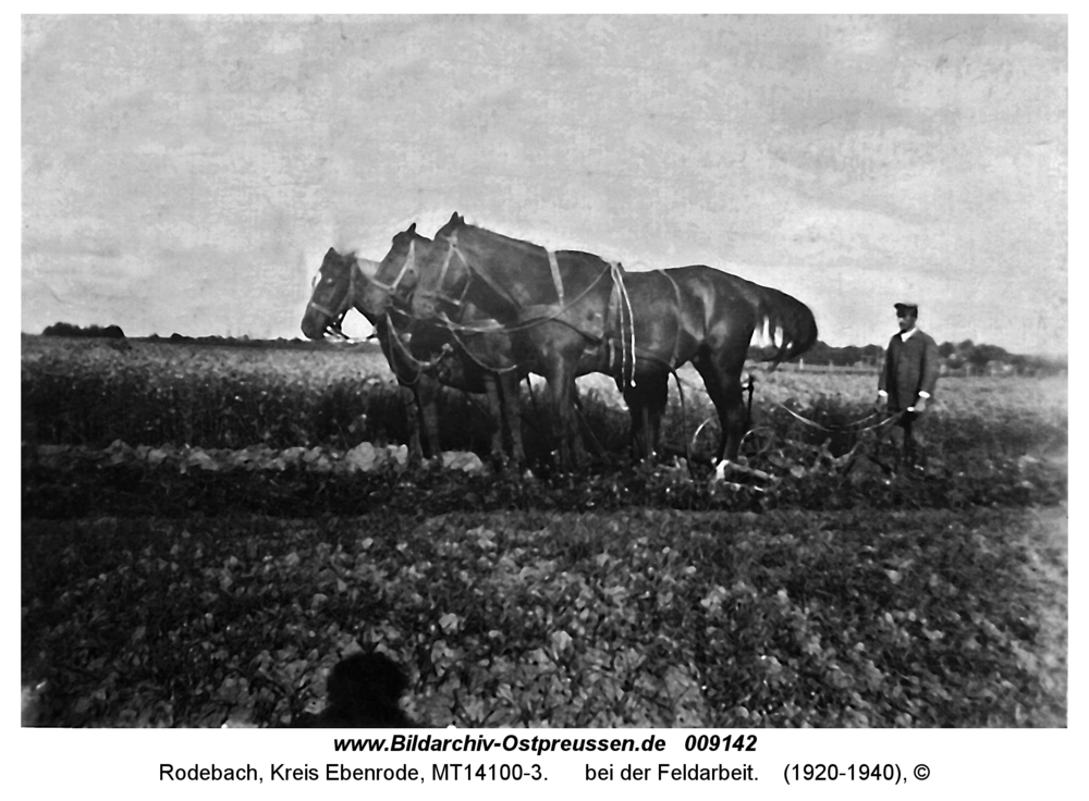 Rodebach, Franz Wiemer bei der Feldarbeit