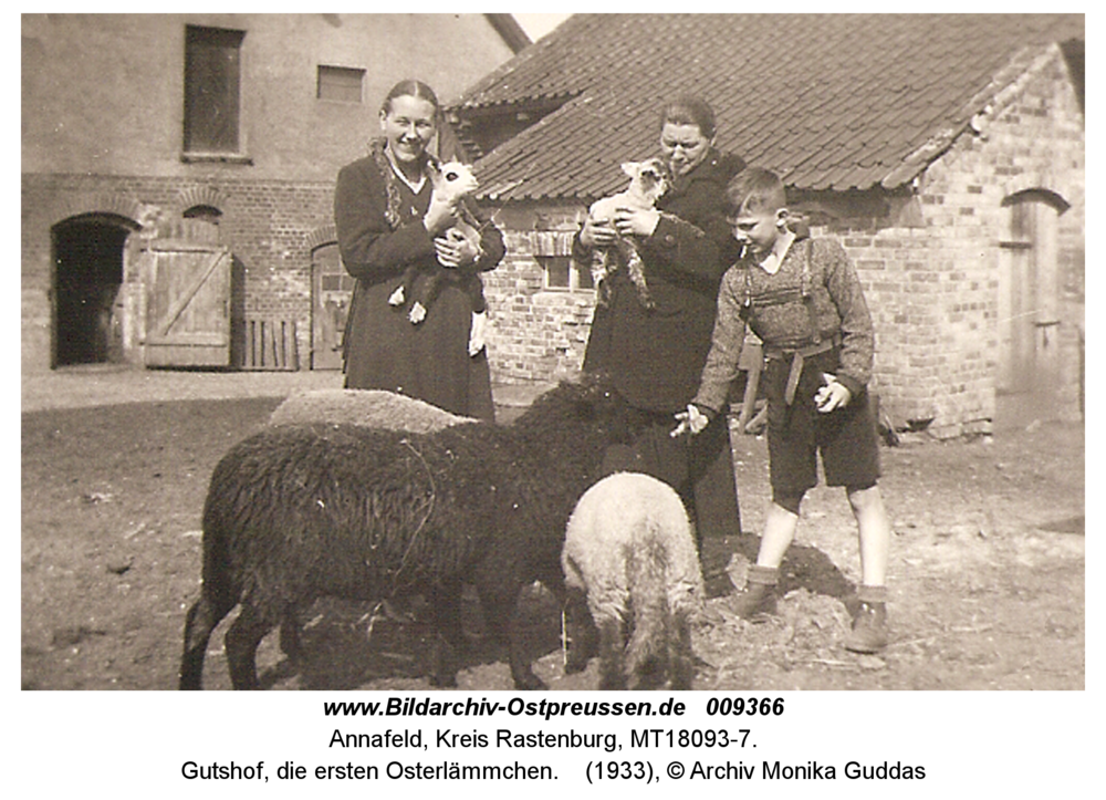 Annafeld, Gutshof, die ersten Osterlämmchen