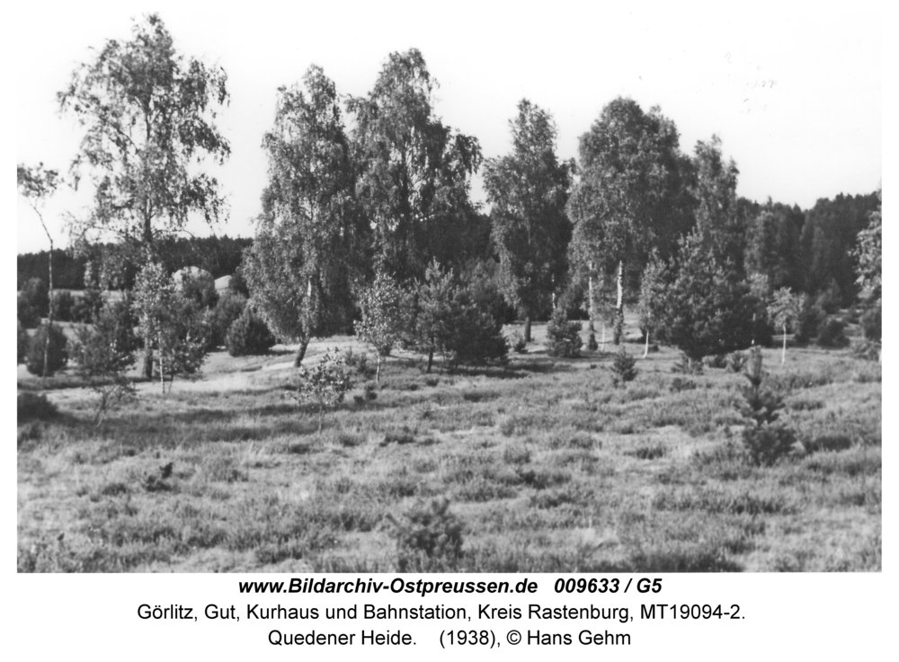 Görlitz, Quedener Heide