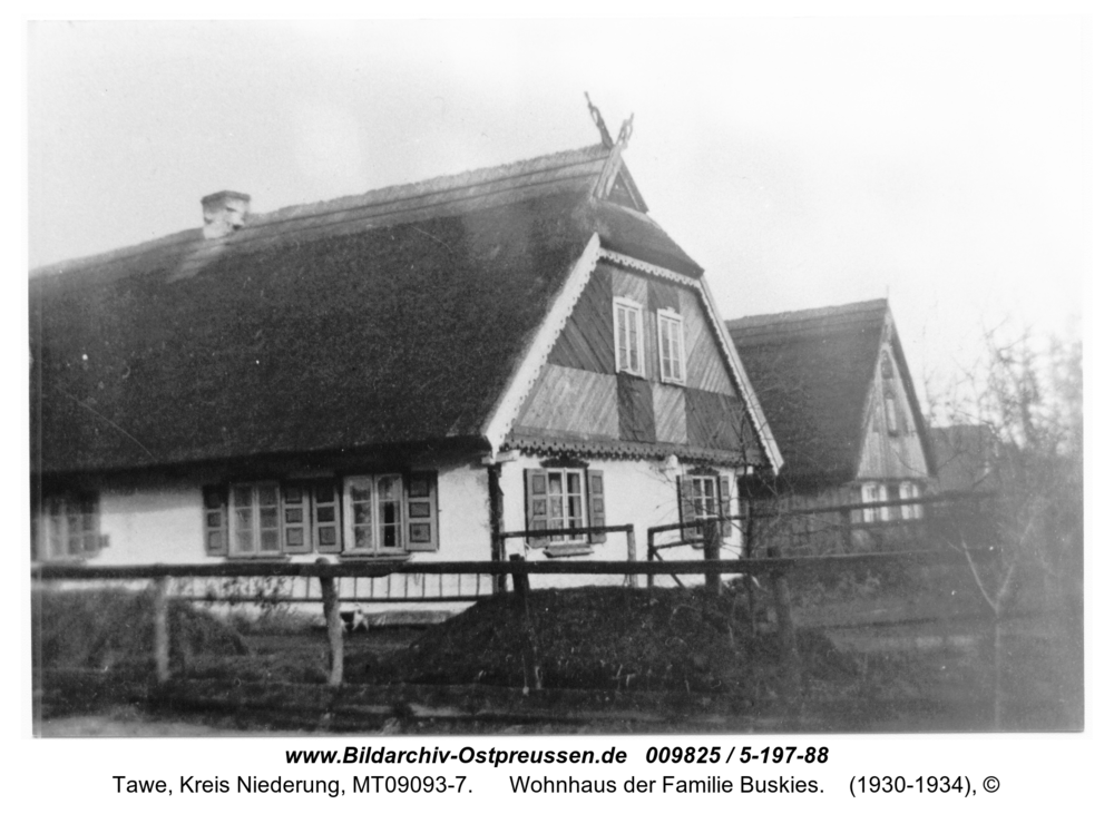 Tawe, Wohnhaus der Familie Buskies