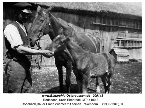 Rodebach, Bauer Franz Wiemer mit seinen Trakehnern