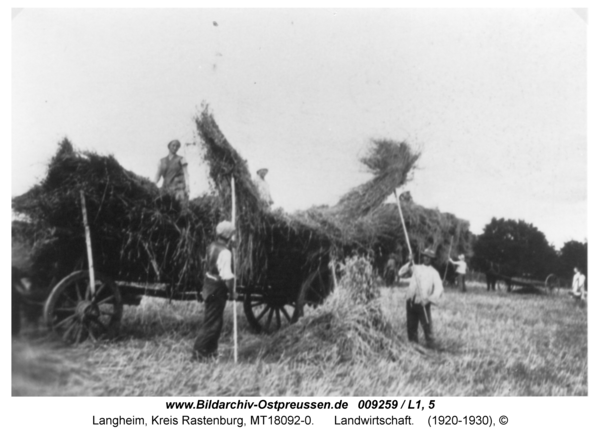 Langheim, Landwirtschaft