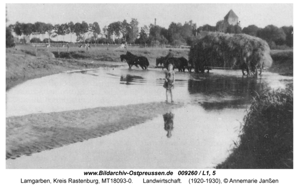 Lamgarben, Landwirtschaft