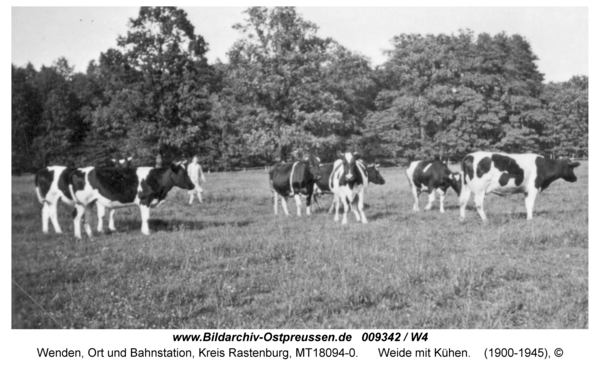 Wenden, Weidegarten mit Kühen