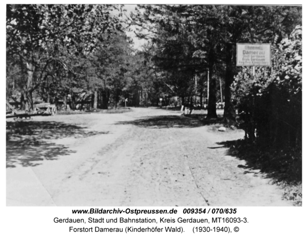 Gerdauen, Forstort Damerau (Kinderhöfer Wald)